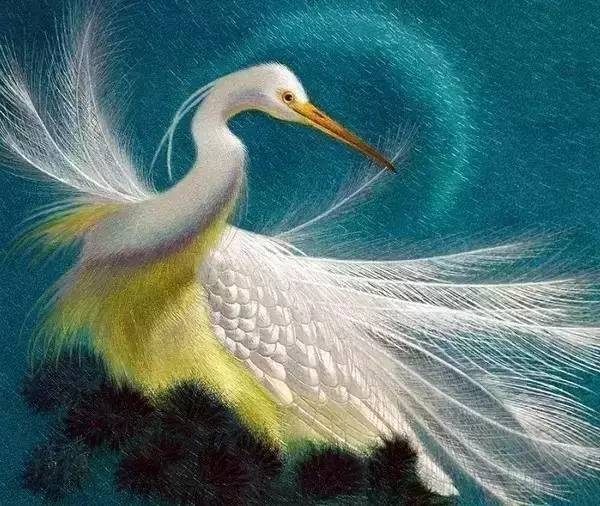 bird